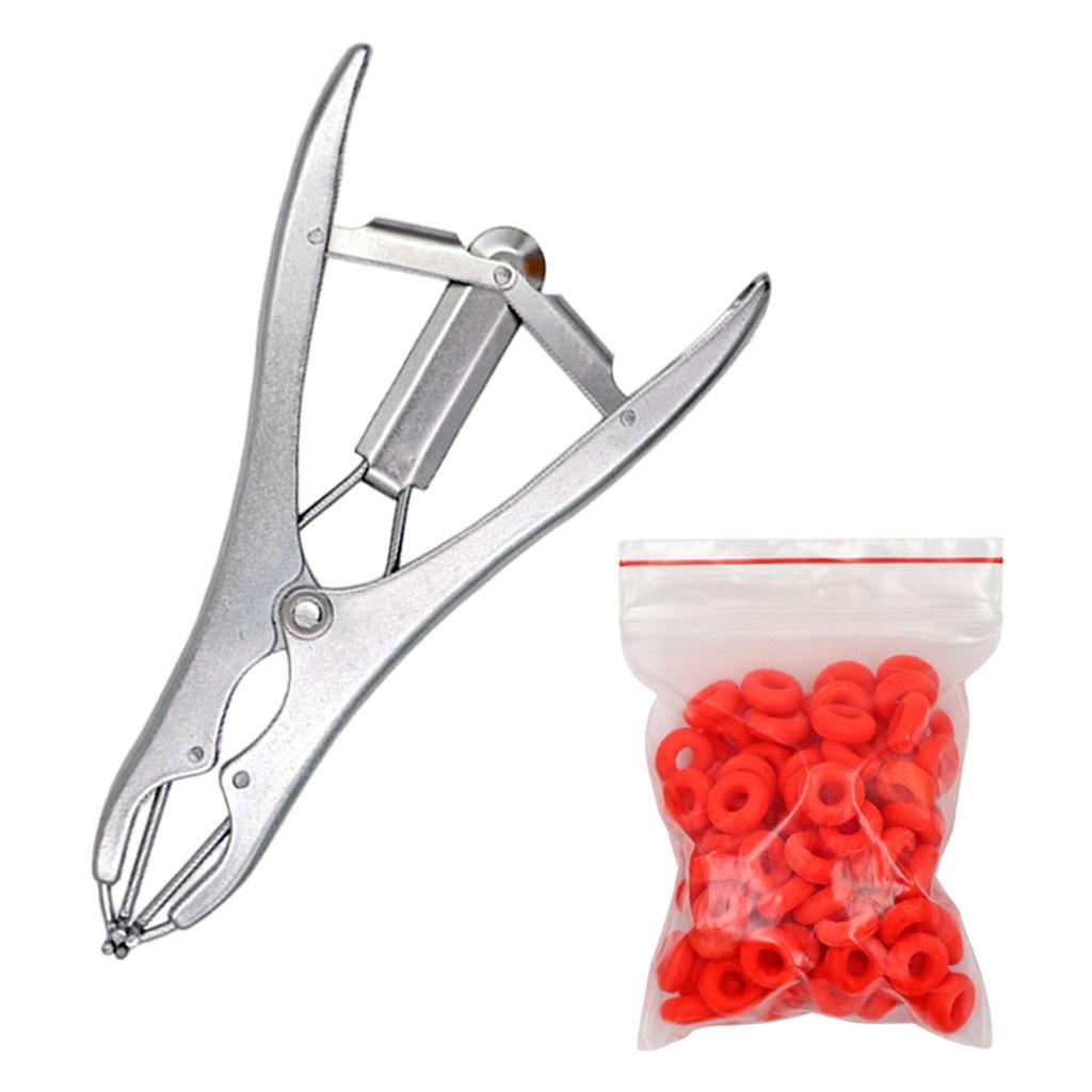 Animal Castration Pliers with 100 Pieces Rubber Rings for Lambs Piglets Stainless steel