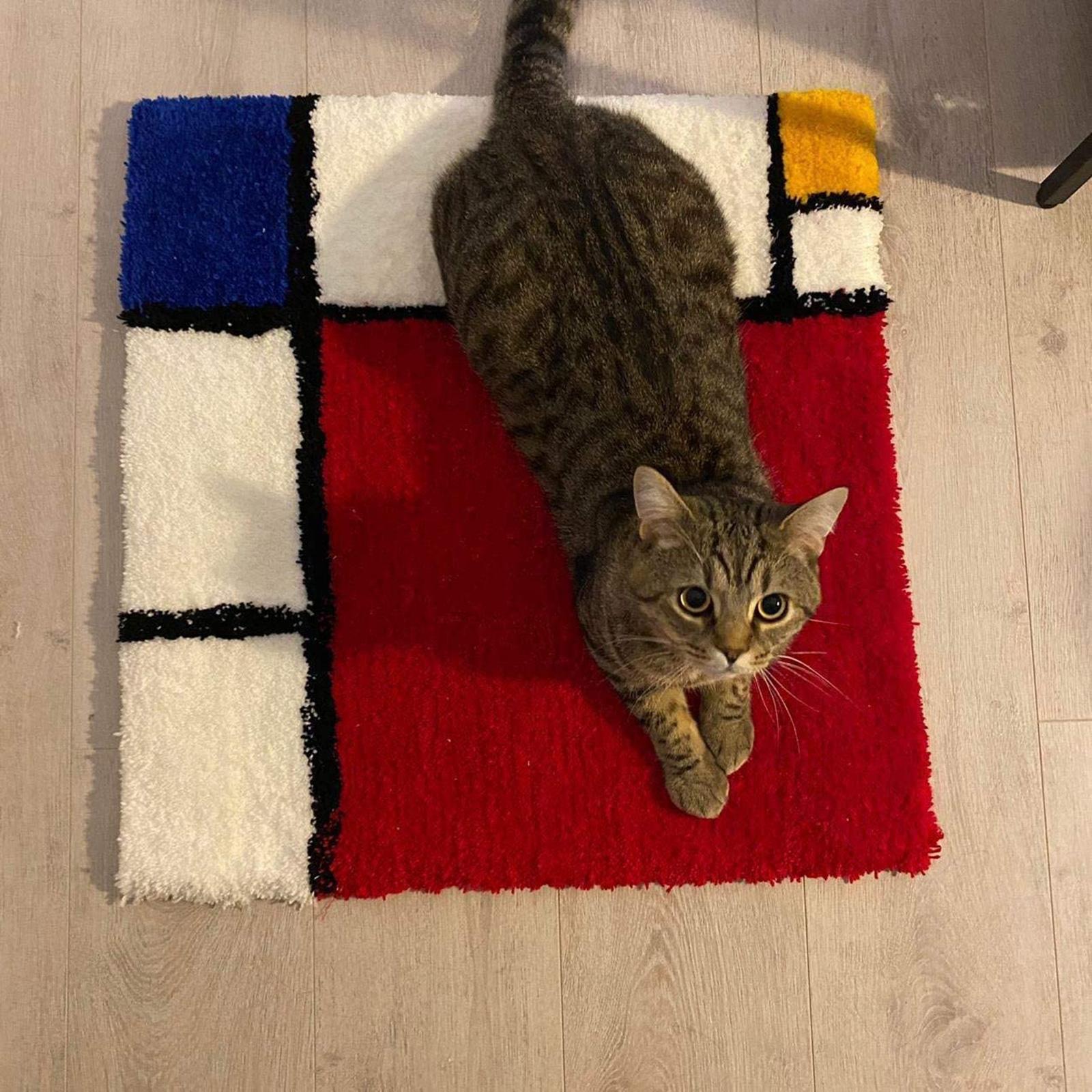 Tufting Rugs Yarn Carpet Making for Use with Electric Tufting Gun Light Gray