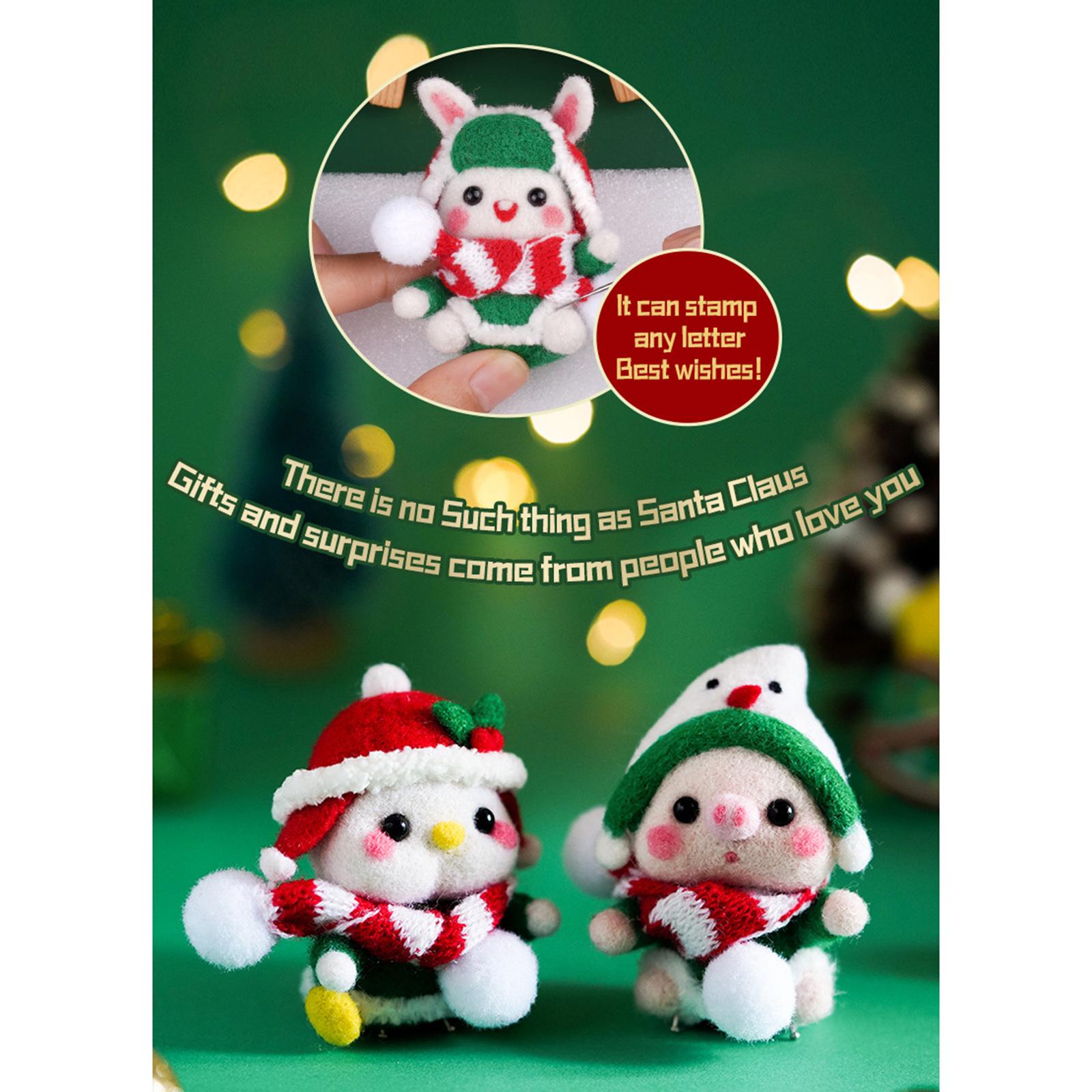 1x Cute Animal Needle Felting Starter Kit with Needle for Beginner Kid Adult Pig