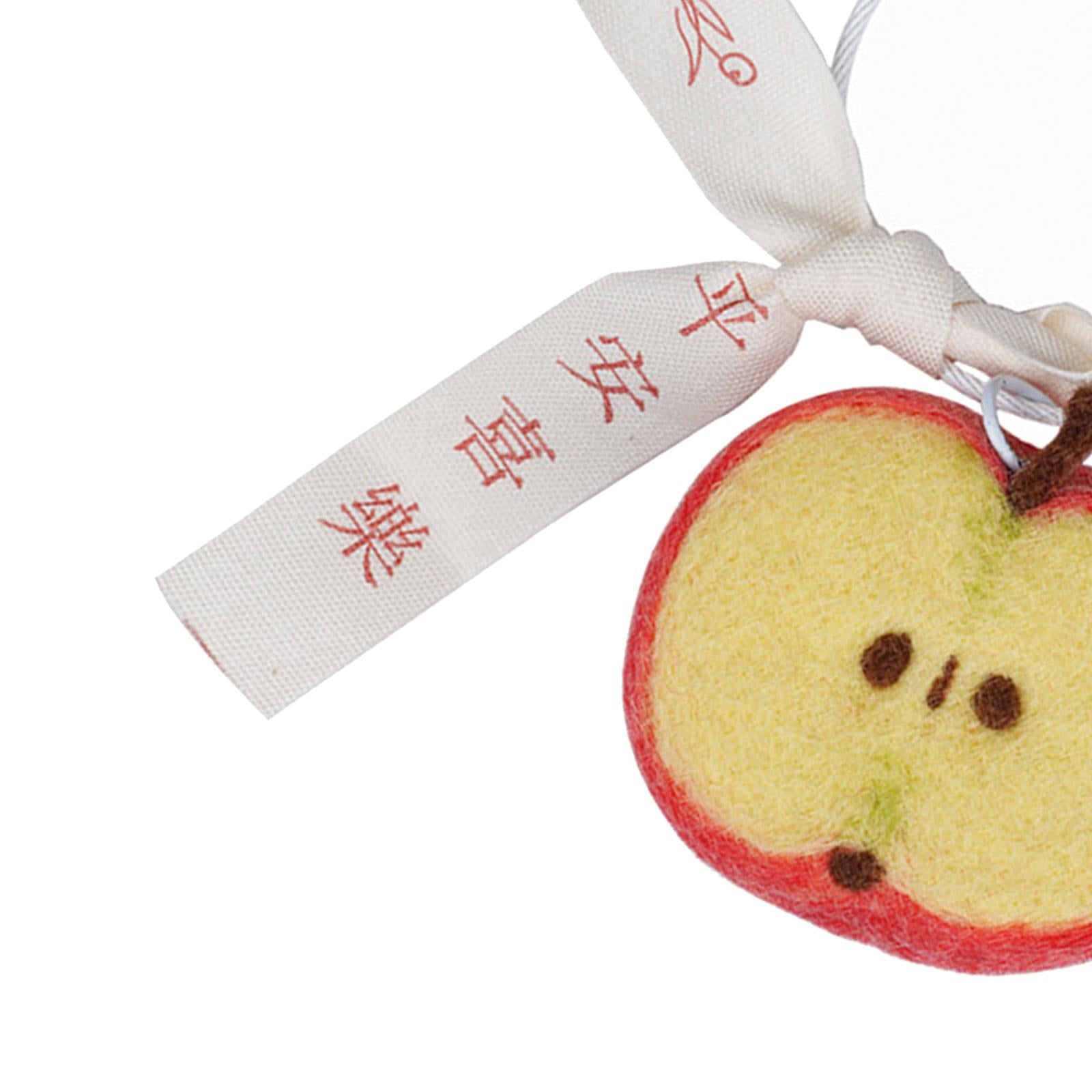 DIY Wool Needle Craft Felting Fruit Poked Starter Beginners Kit Apples