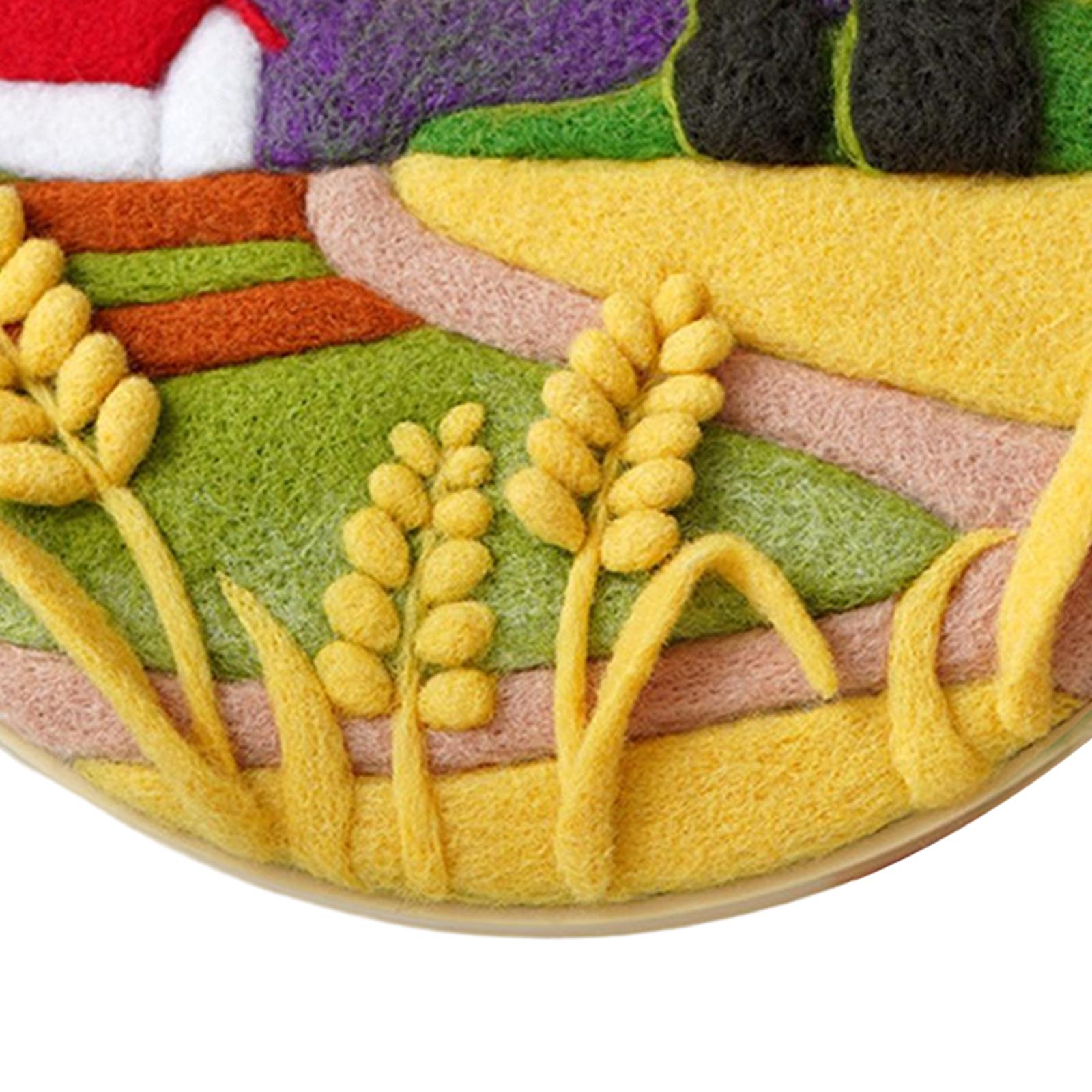 Needle Kit DIY with Instructions Painting Craft Wool Felting for Starter B