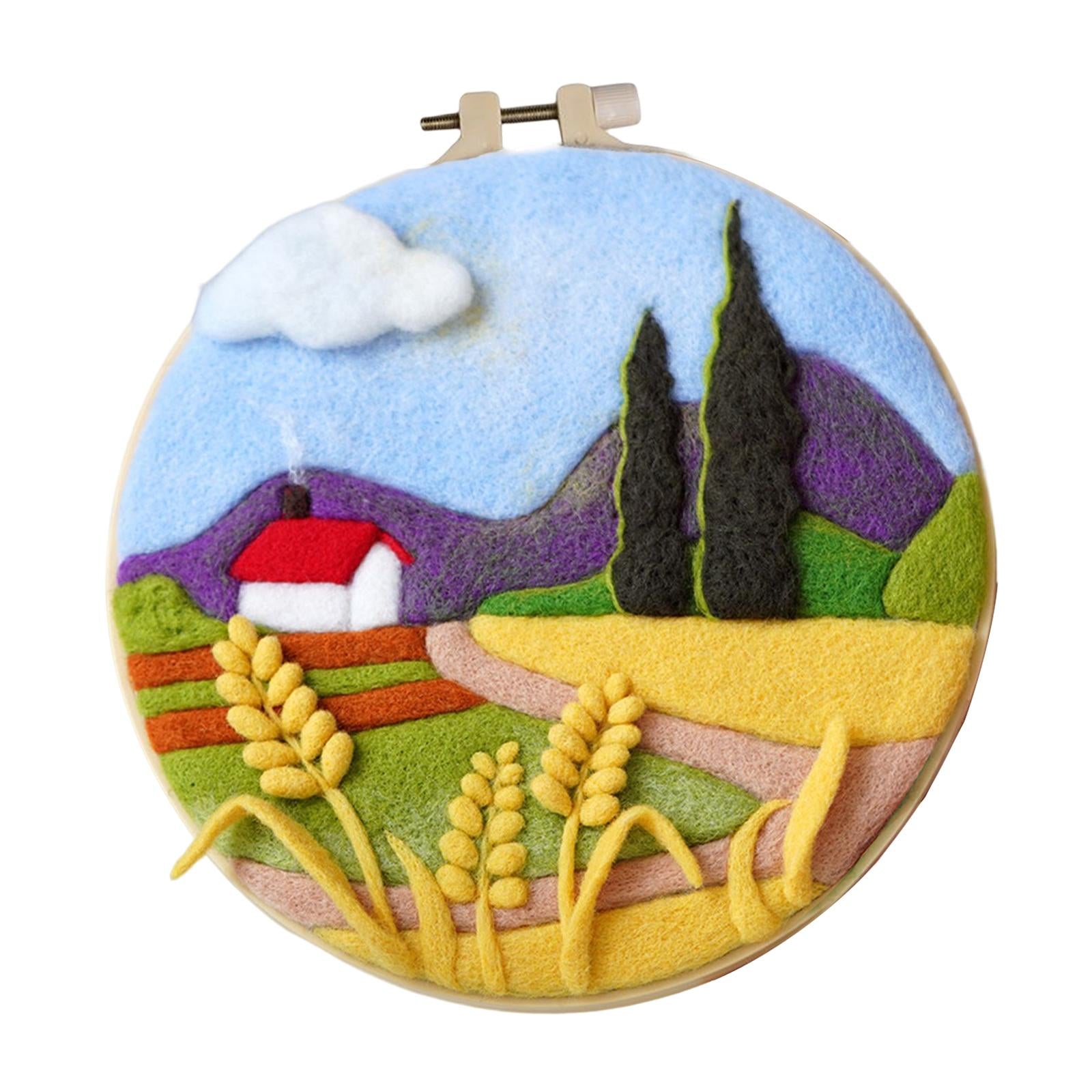 Needle Kit DIY with Instructions Painting Craft Wool Felting for Starter B