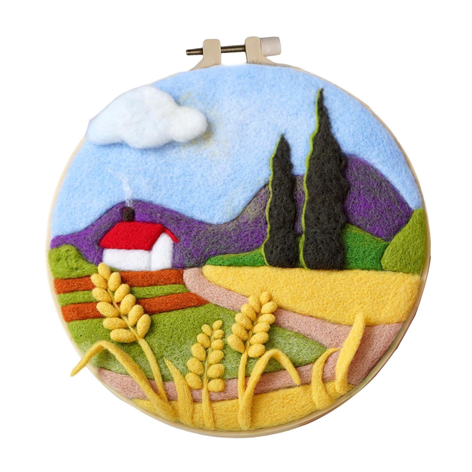 Needle Kit DIY with Instructions Painting Craft Wool Felting for Starter B