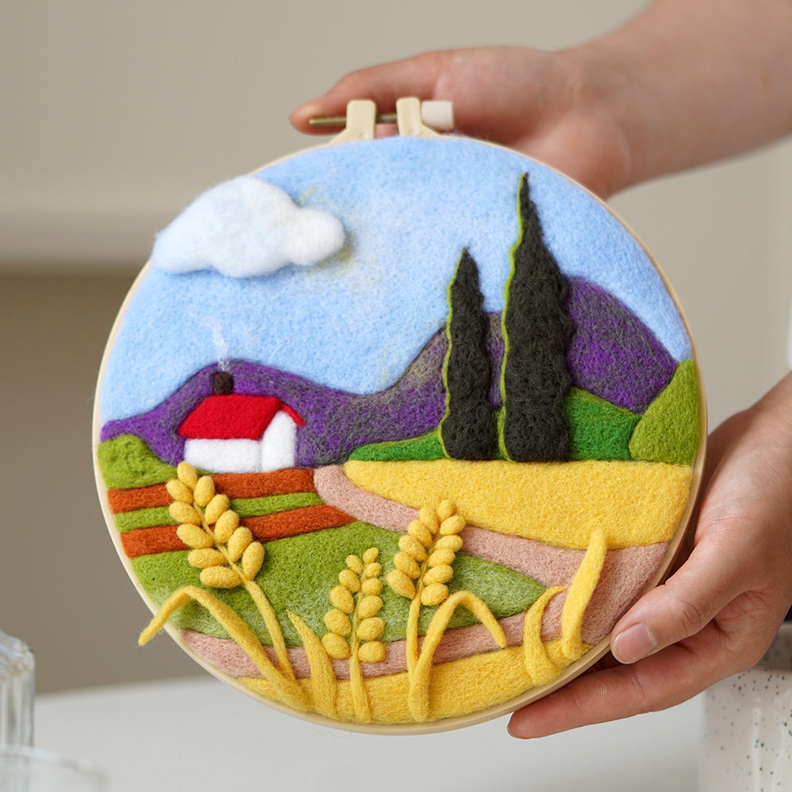 Needle Kit DIY with Instructions Painting Craft Wool Felting for Starter B