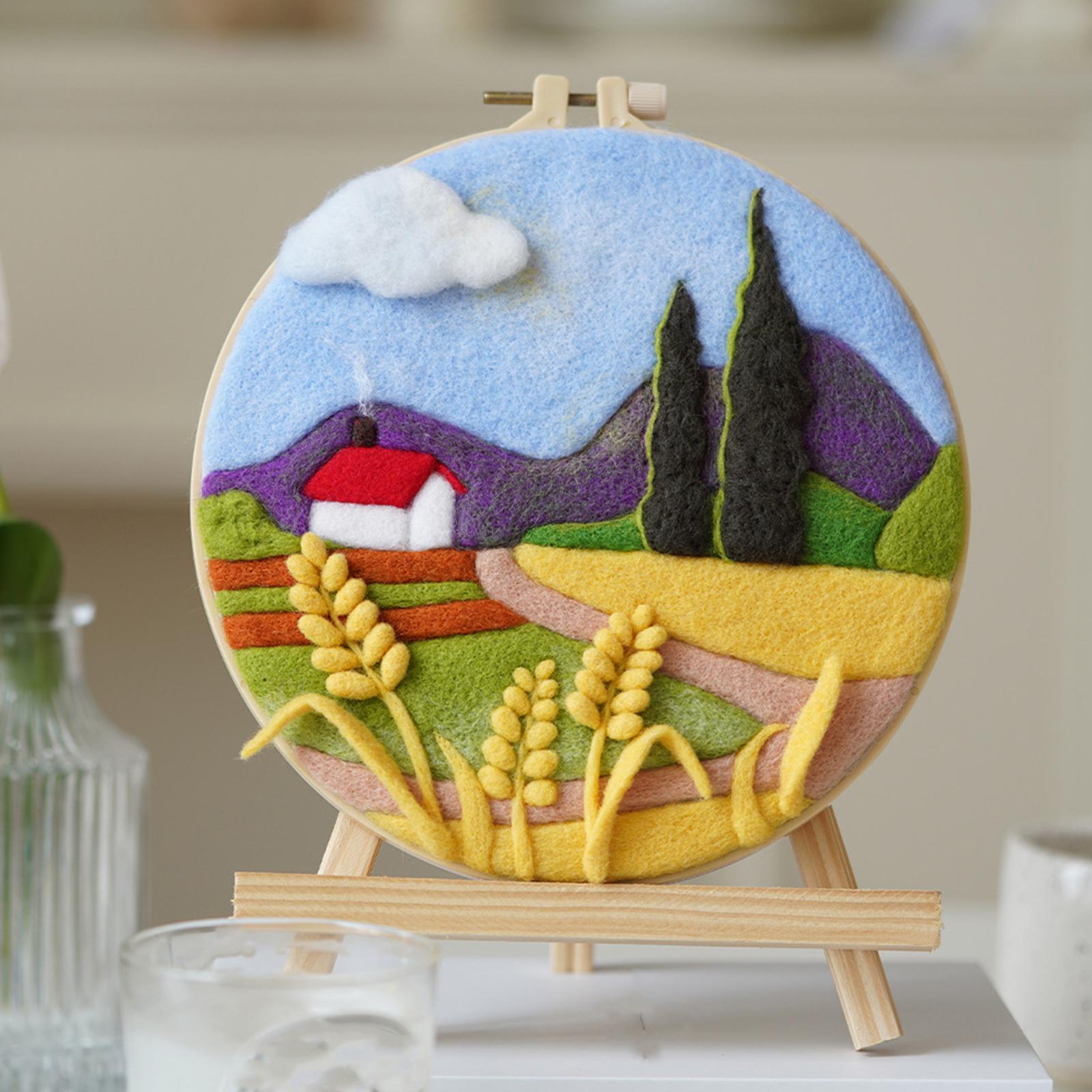 Needle Kit DIY with Instructions Painting Craft Wool Felting for Starter B