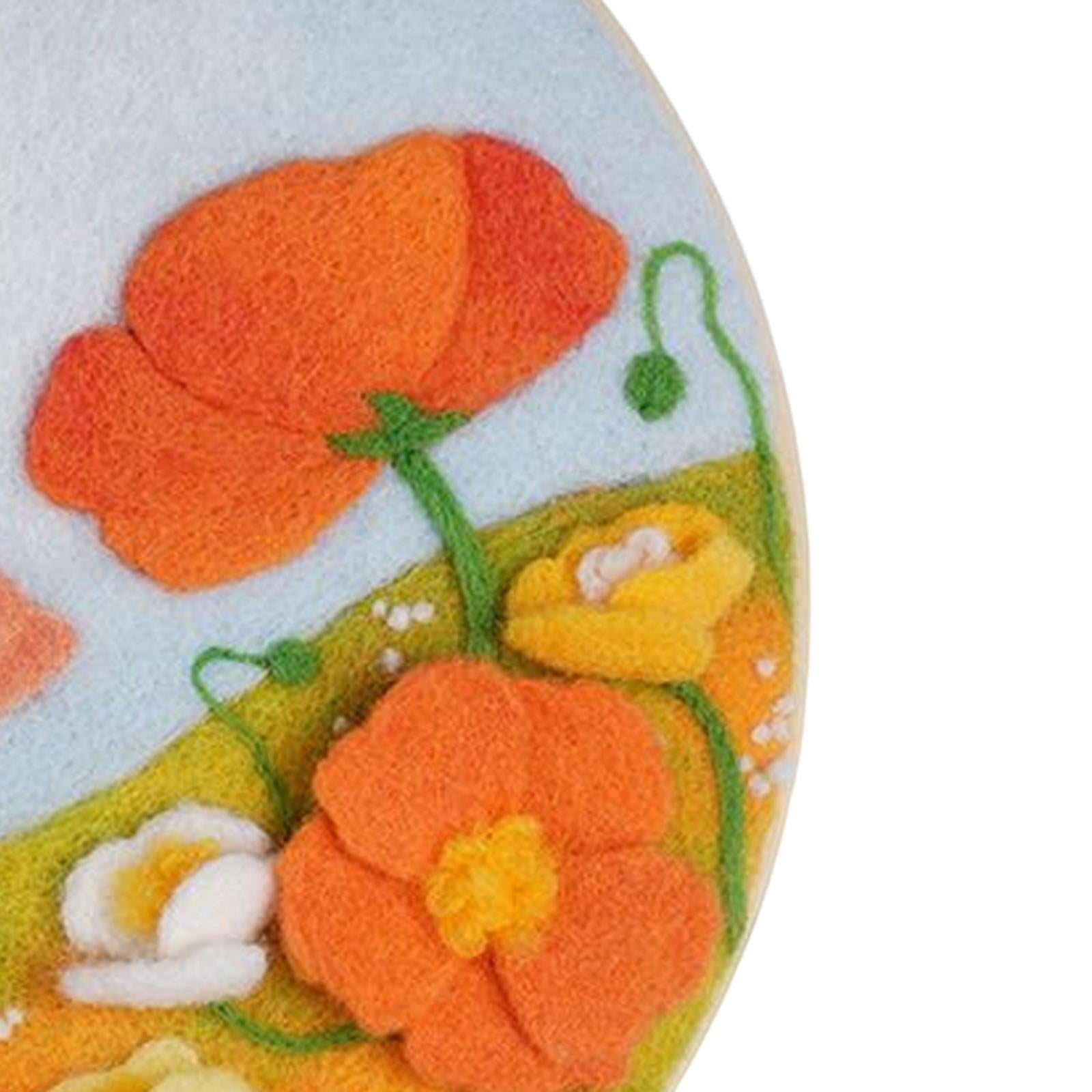 Needle Kit DIY with Instructions Painting Craft Wool Felting for Starter C