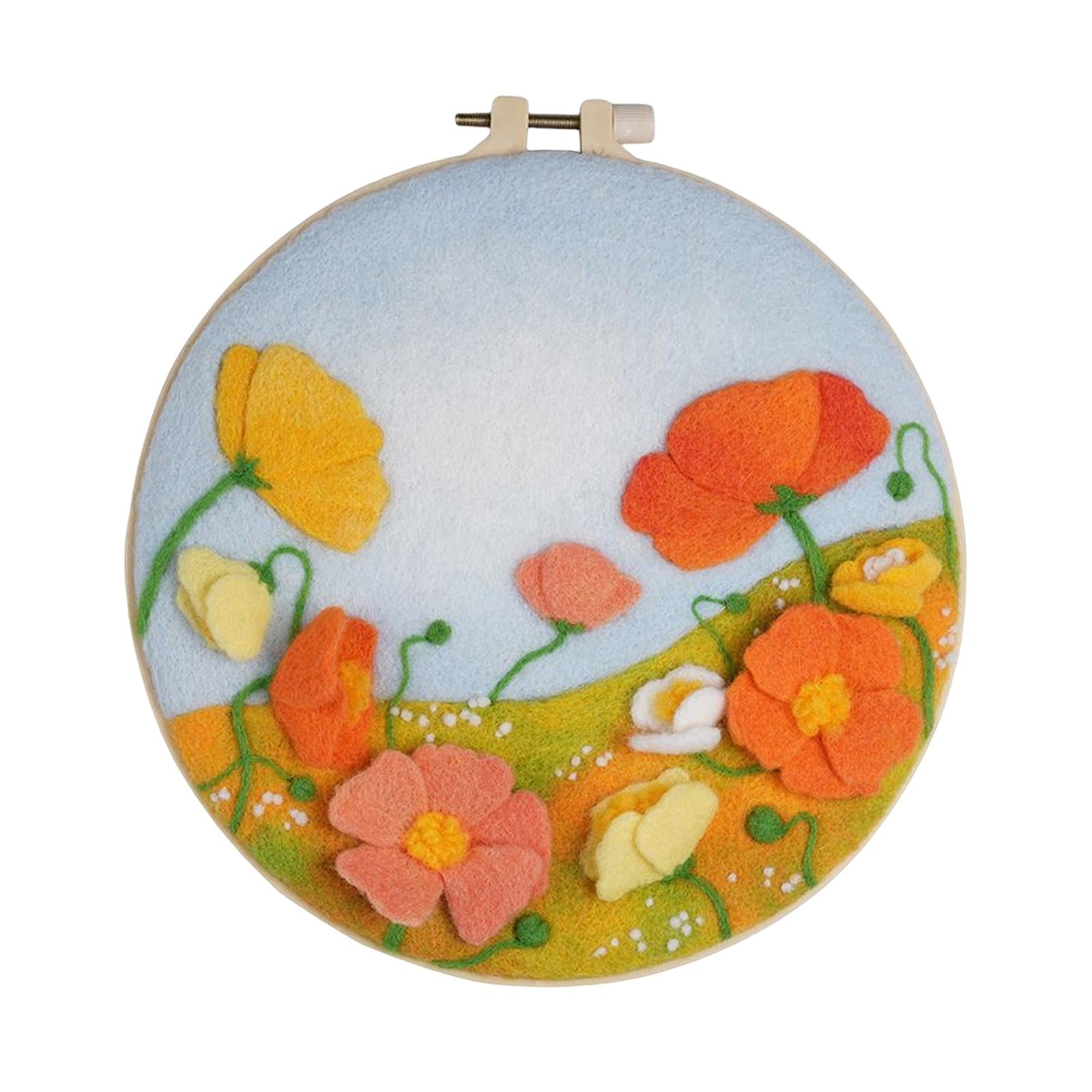 Needle Kit DIY with Instructions Painting Craft Wool Felting for Starter C