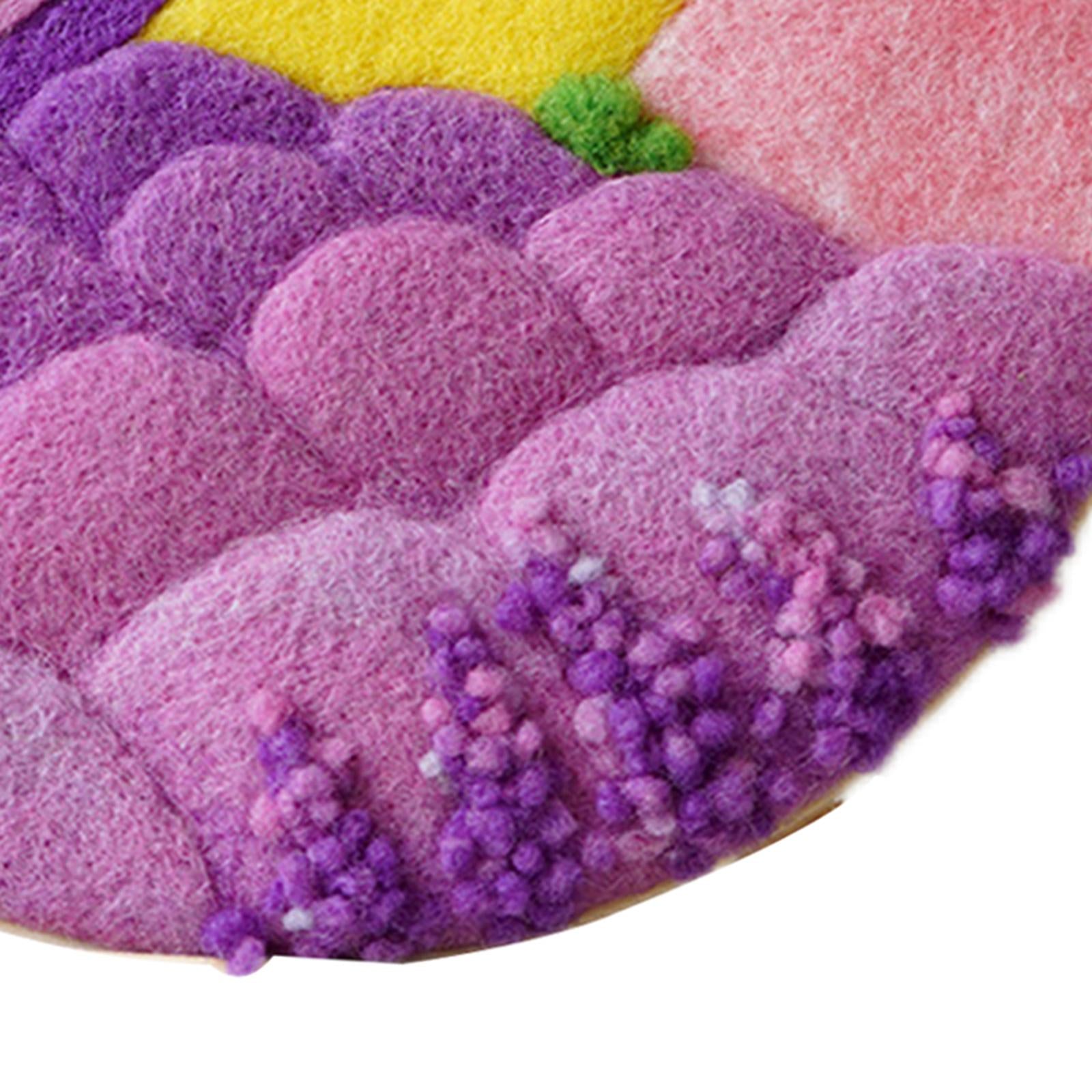 Needle Kit DIY with Instructions Painting Craft Wool Felting for Starter D