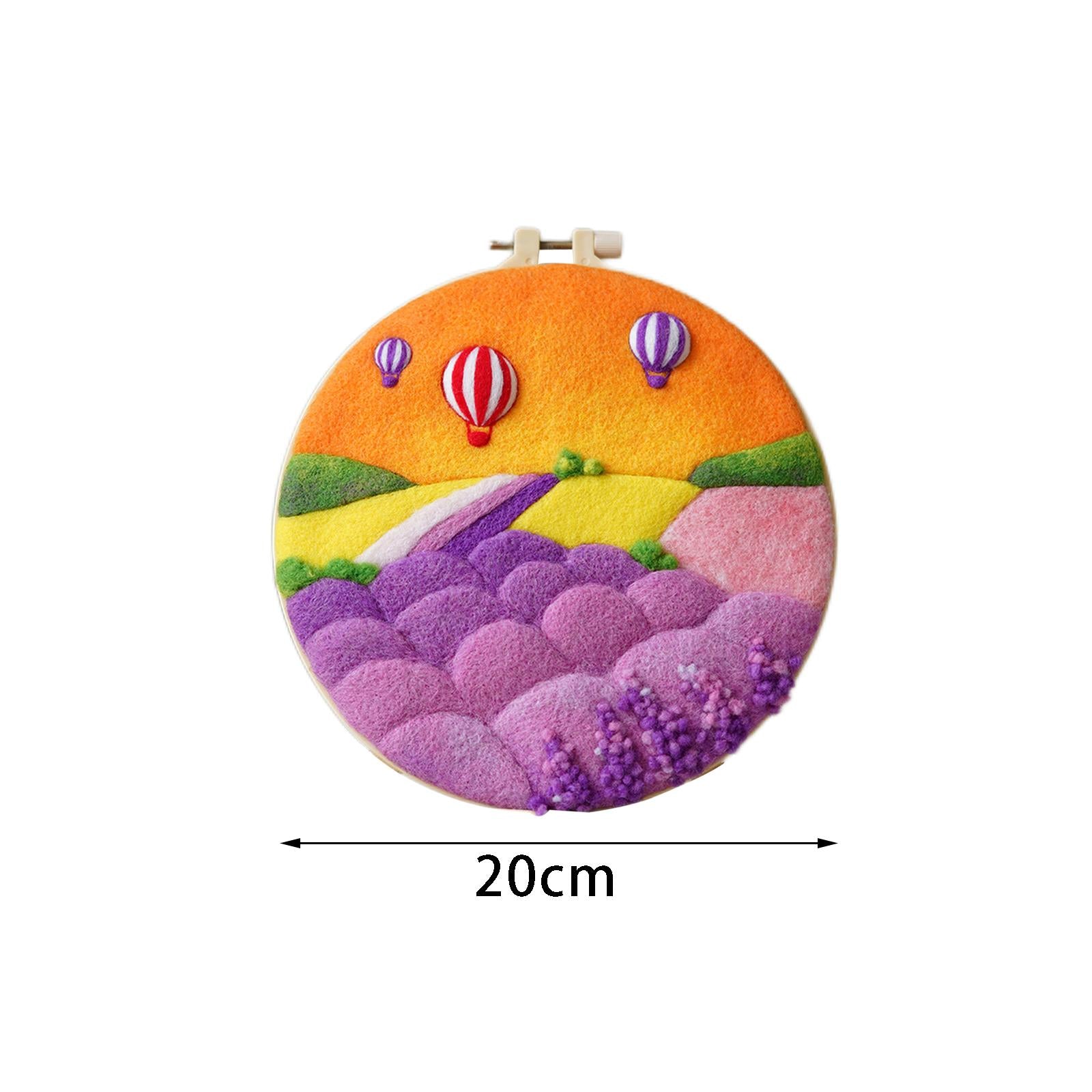 Needle Kit DIY with Instructions Painting Craft Wool Felting for Starter D