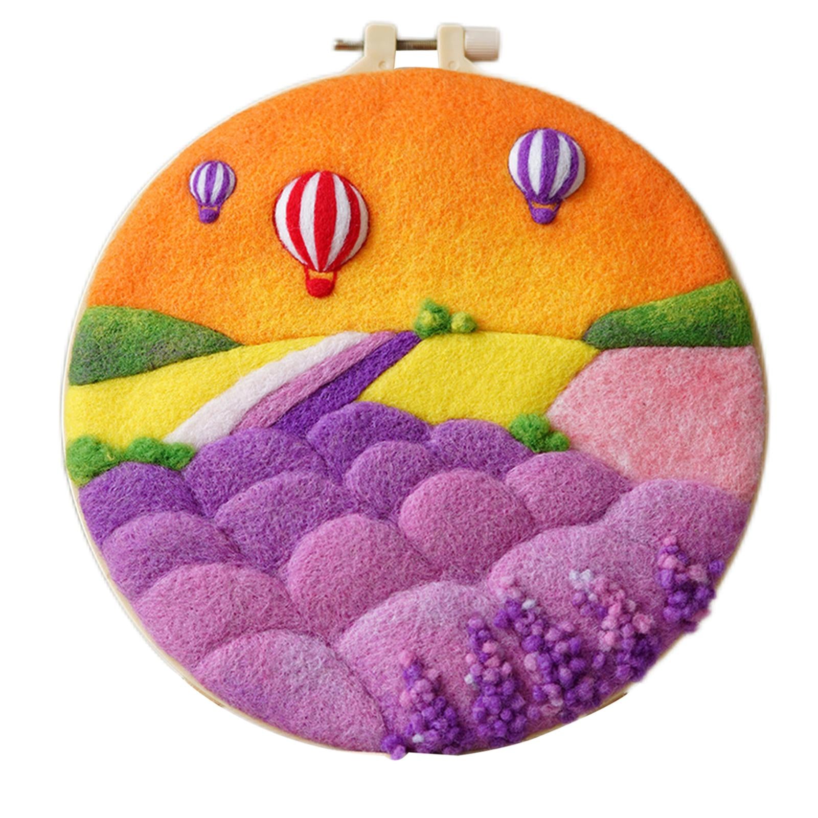 Needle Kit DIY with Instructions Painting Craft Wool Felting for Starter D