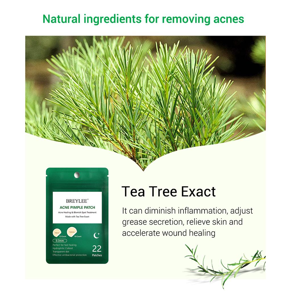 22pcs/sheet Breylee Tea Tree Acne Remover Patch Scar Treatment Stickers