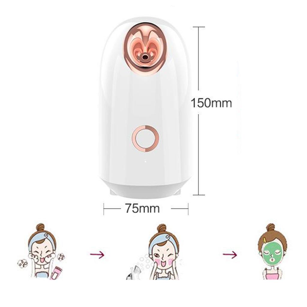 Facial Steamer SPA Steam Sprayer Skin Beauty Clean Suana Mist Device US Plug