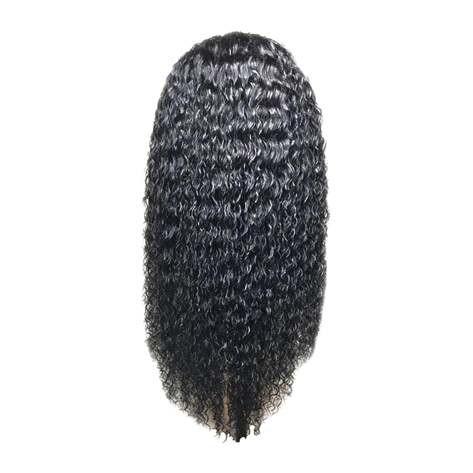 Ladies 25 Long Curly Hair Wig for Black Women Fashion Cosplay Black Net"