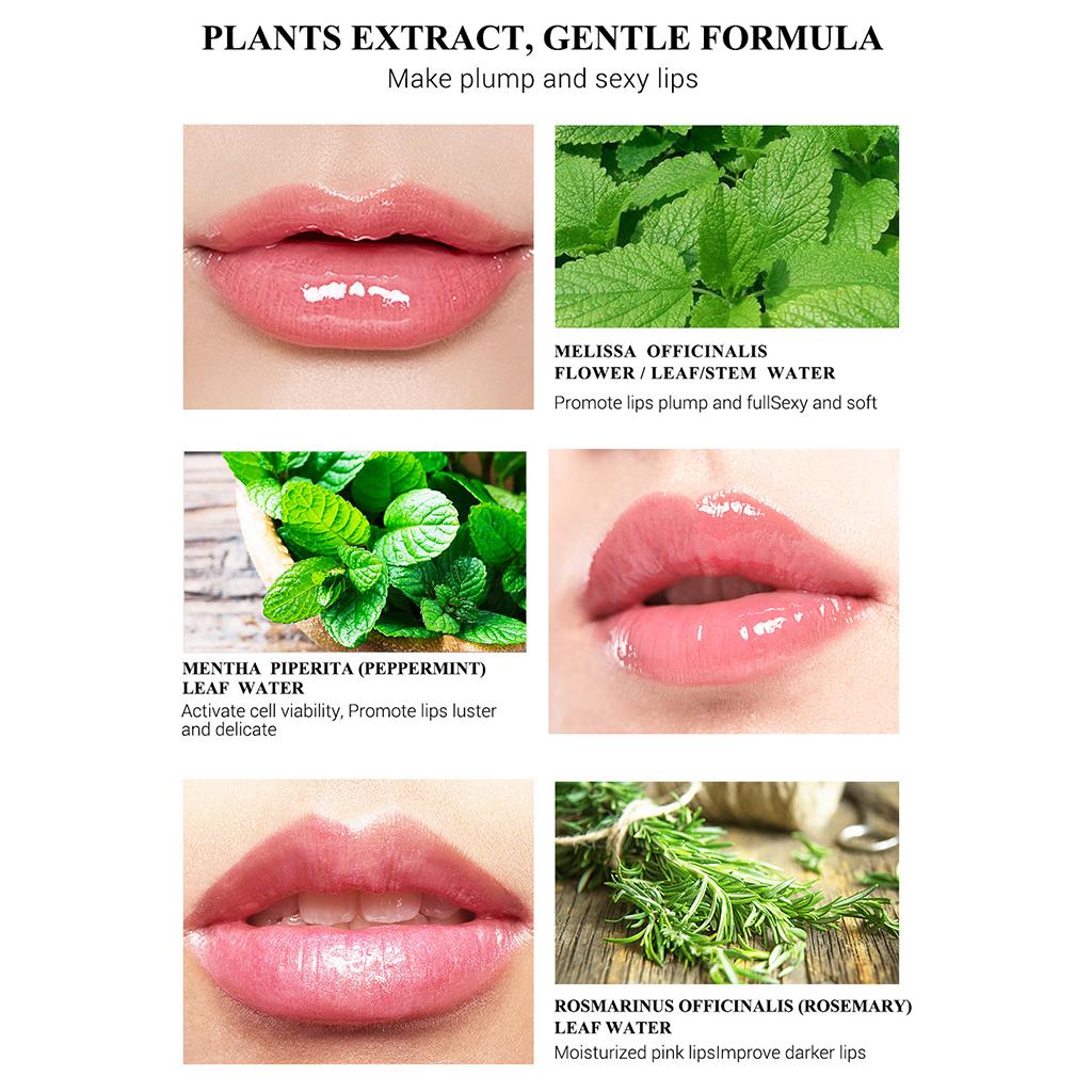 Lips Serum Repairing Plumper Promote Luster Resist Aging for Lips Care