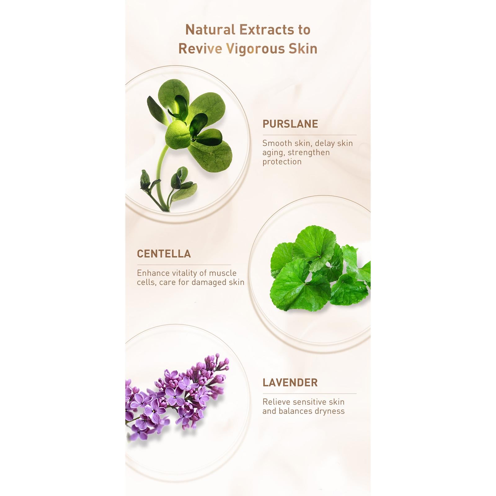 Reduces Marks Scar Serum Moisturized Youthful Skin Scars Marks Skin Care