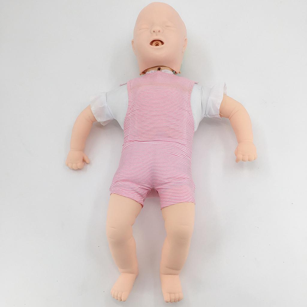 Infant Airway Obstruction Model Simulated Foreign Bodies for Teaching School