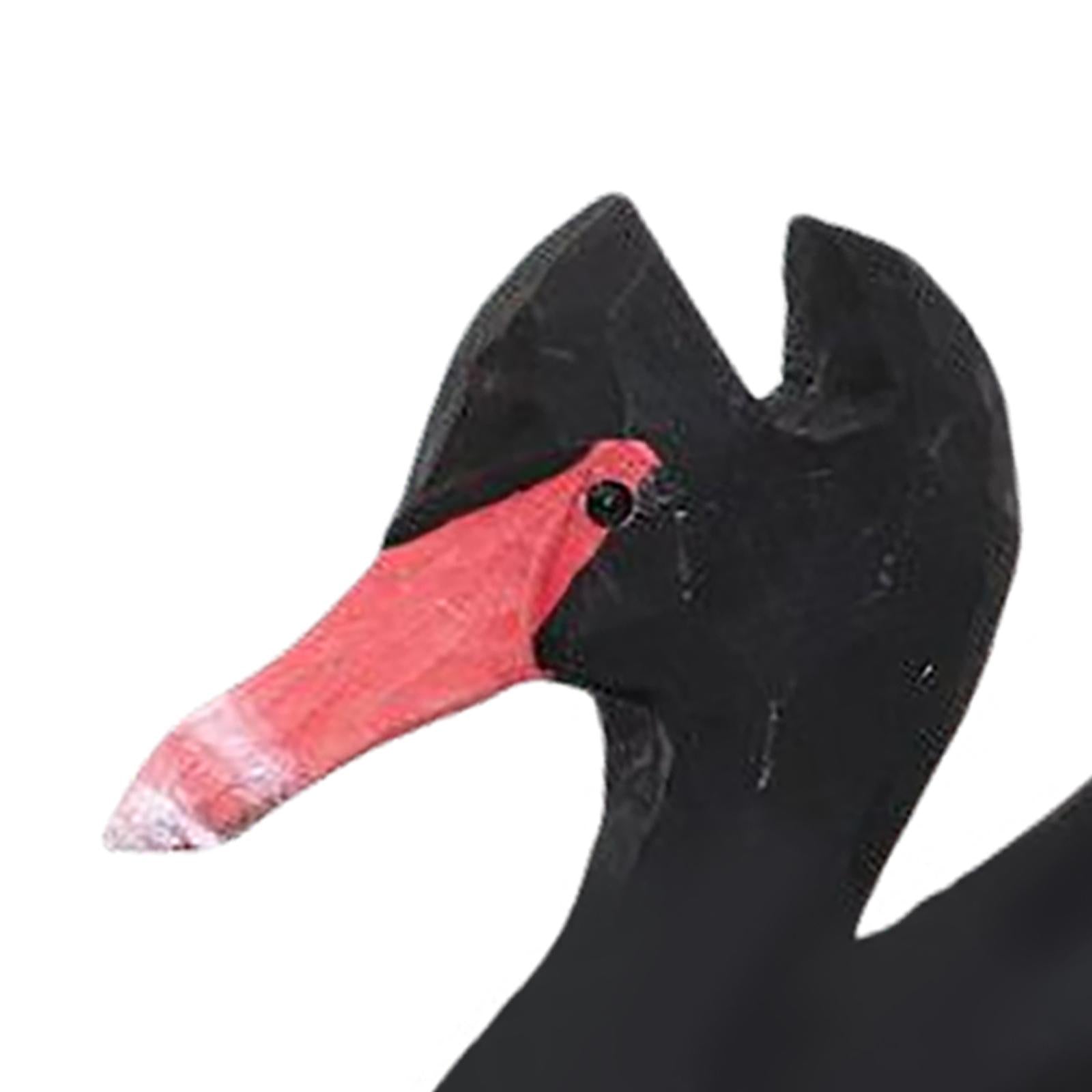 Animal Optical Glasses Display Stand Sunglasses Retainer Black Swan