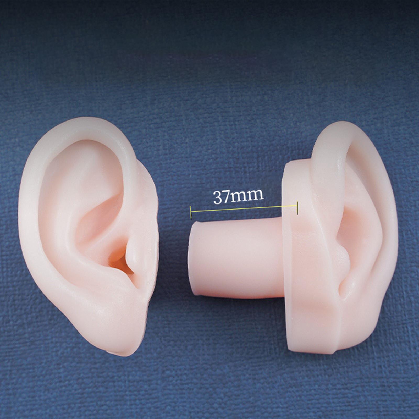 Simulation Ear Model Super Soft Teaching Aids Science for Practice Left