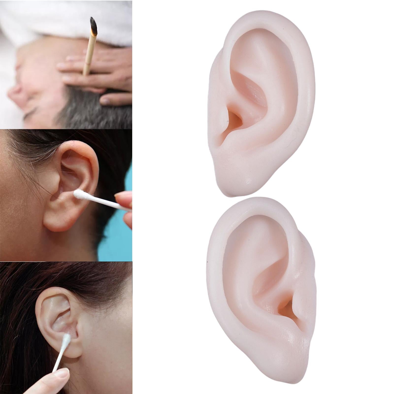 Simulation Ear Model Super Soft Teaching Aids Science for Practice Left