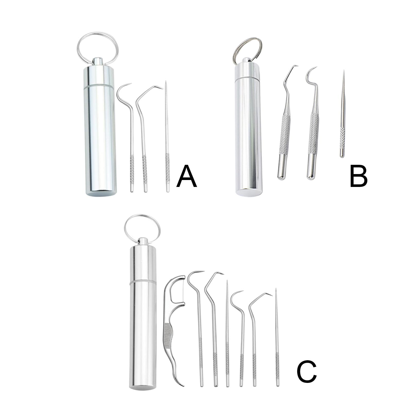 Portable Stainless Steel Toothpick Kit Traveling with Holder 3Pcs Kit