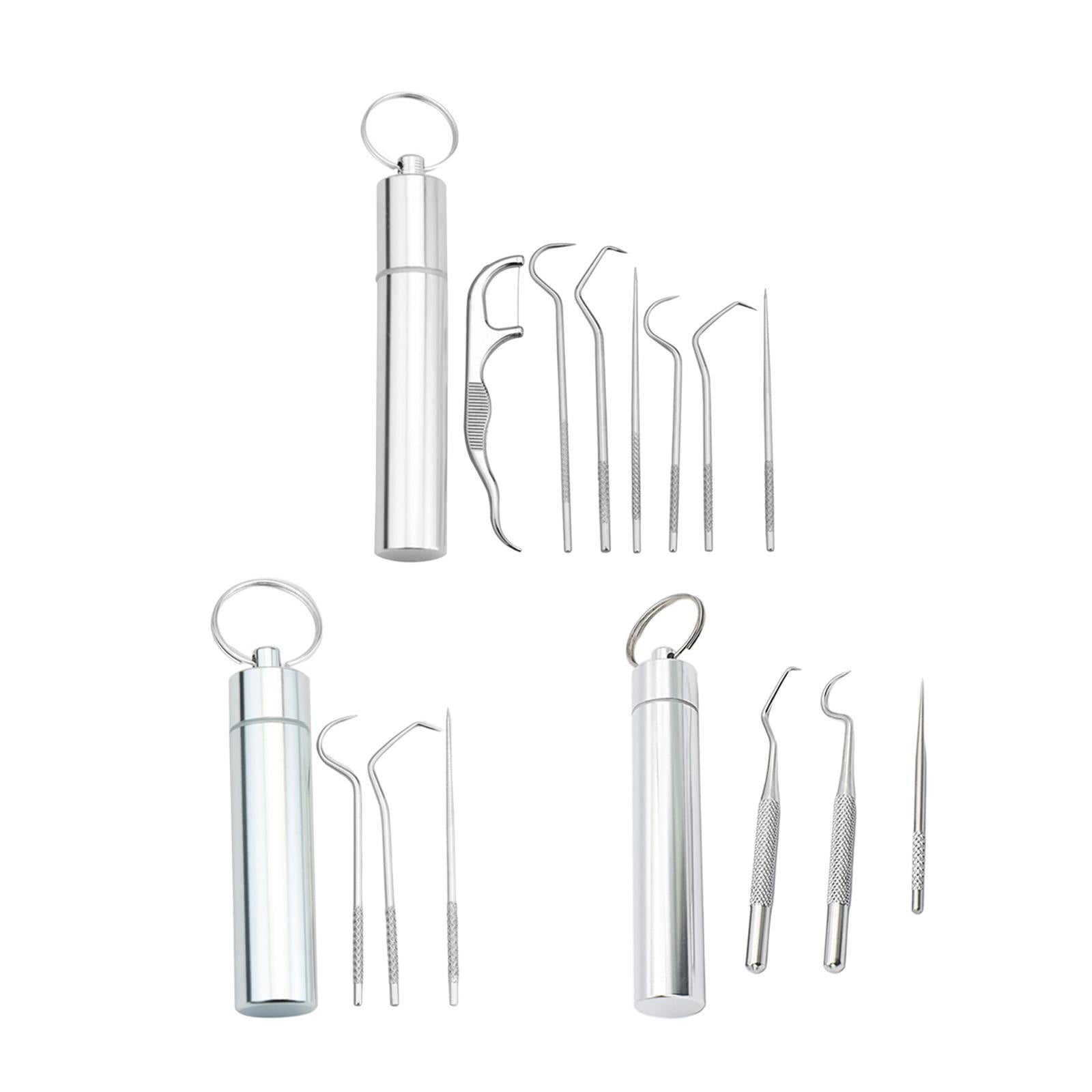 Portable Stainless Steel Toothpick Kit Traveling with Holder 3Pcs Kit