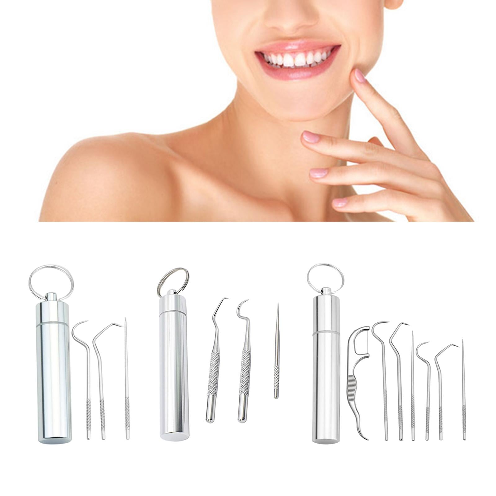 Portable Stainless Steel Toothpick Kit Traveling with Holder 3Pcs Kit