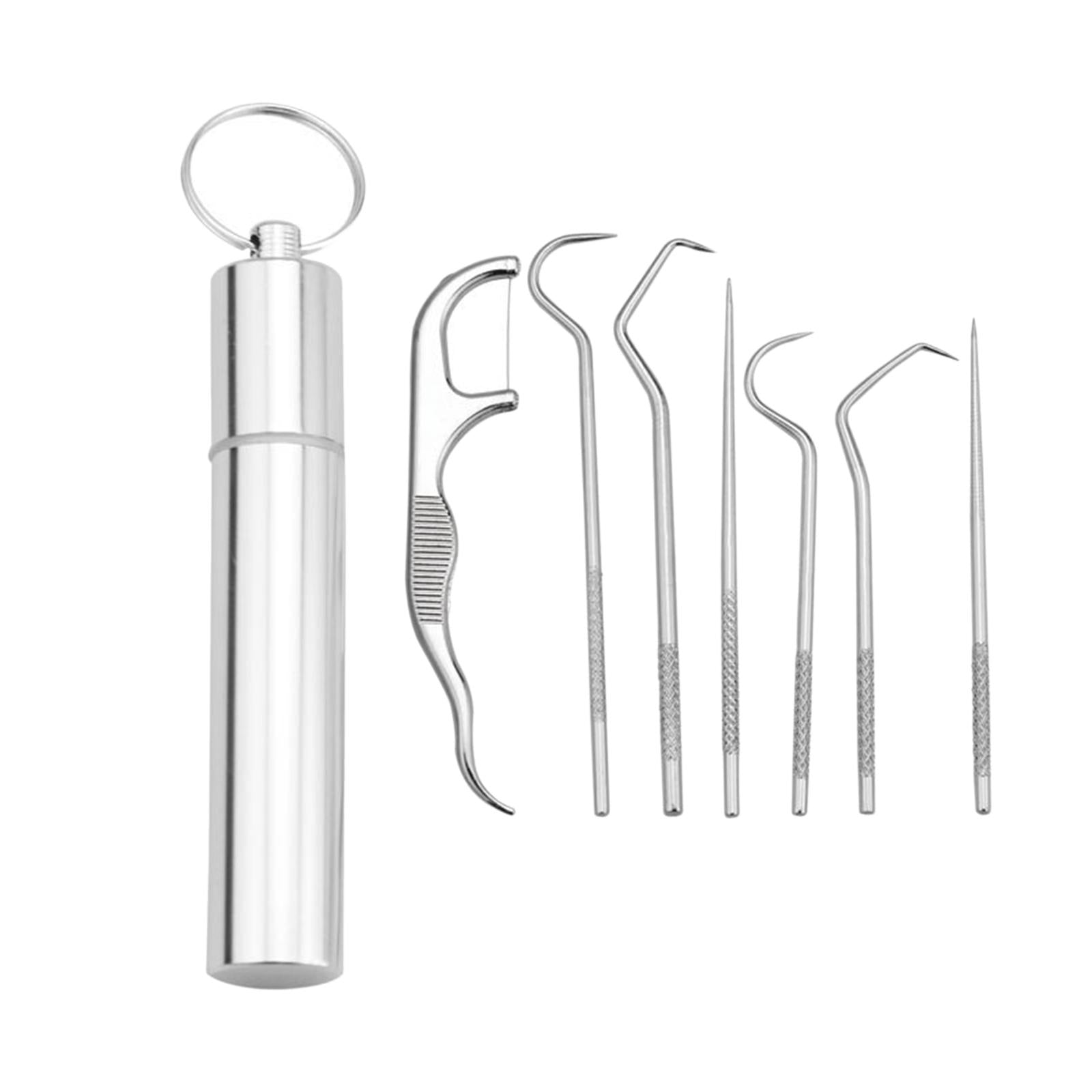 Portable Stainless Steel Toothpick Kit Traveling with Holder 7Pcs Kit