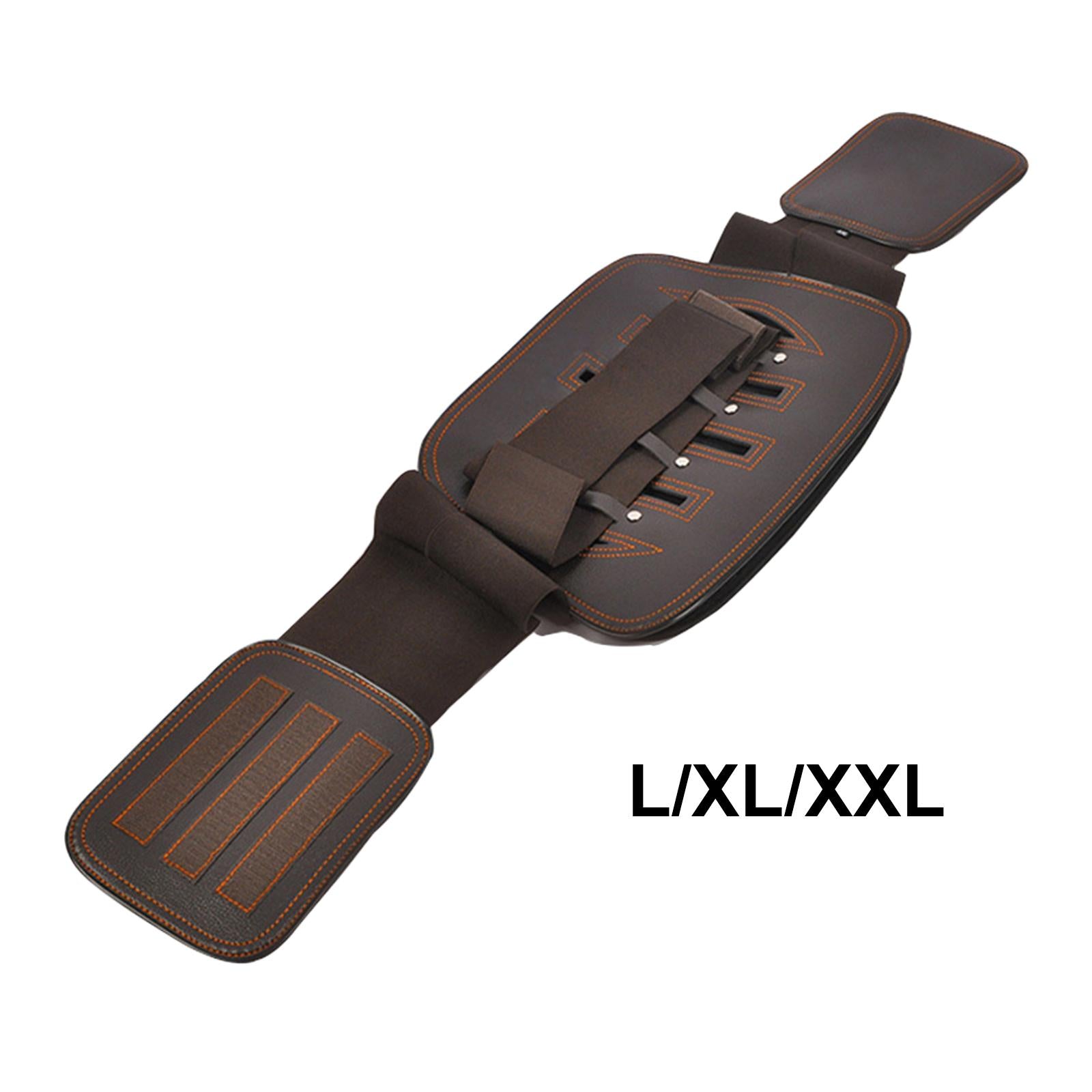 Back Support Belt Lumbar Belt Brace Waist Protector for Scoliosis Women Men L