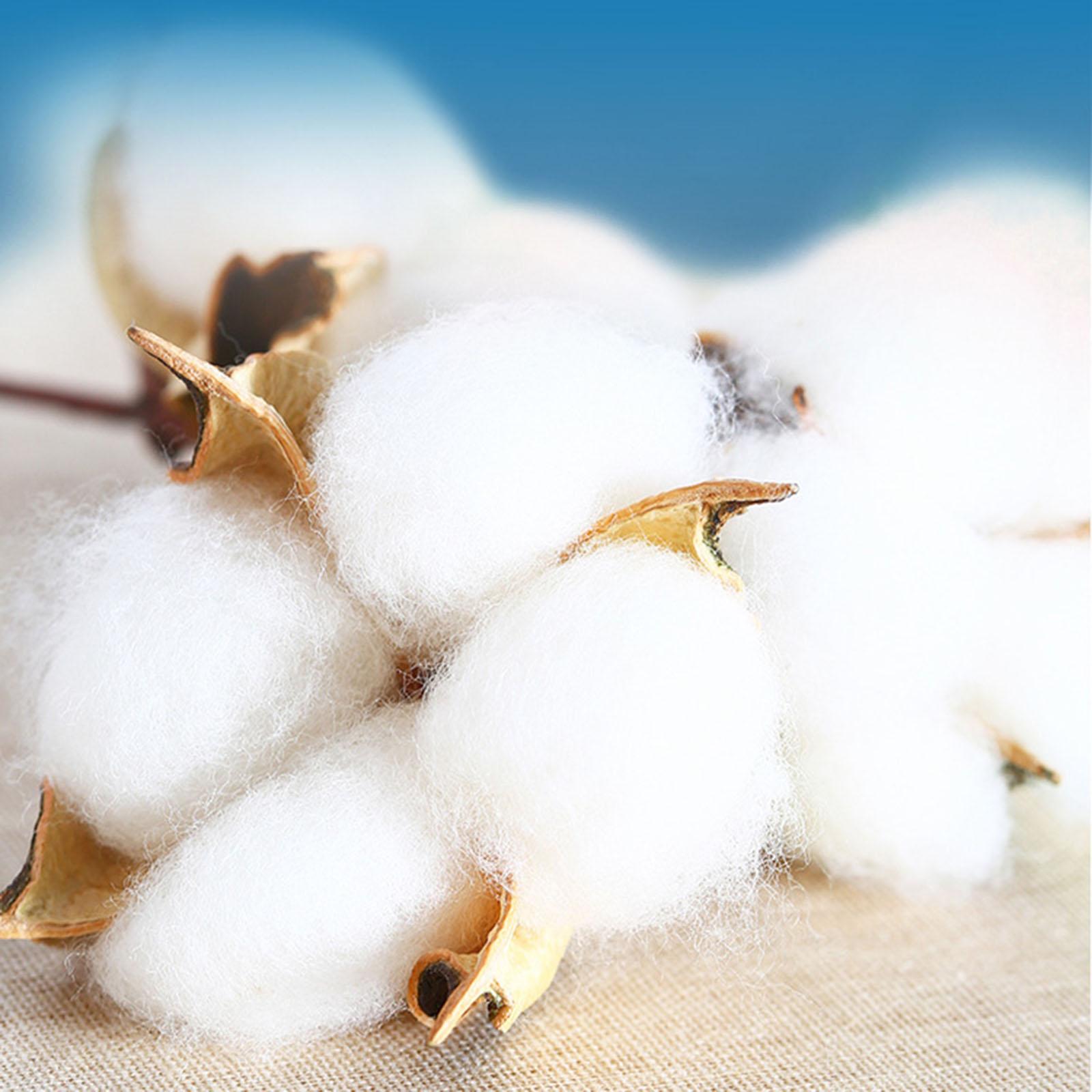 5 Pieces Adults Disposable Briefs Underpants Pure Cotton Panties Man 3XL