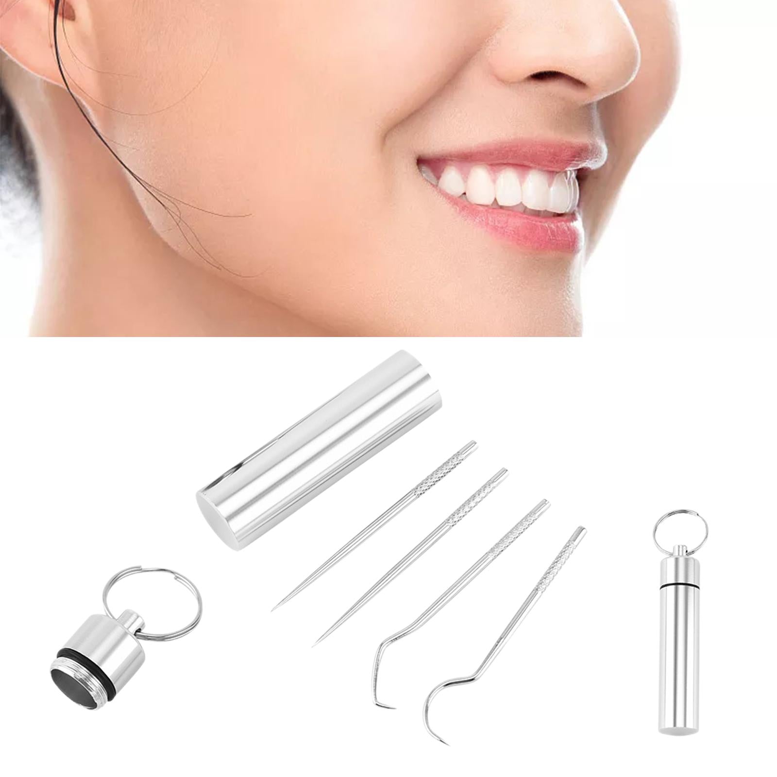 5Pcs Stainless Steel Toothpick Kit Oral Cleaning Kit for Outdoor Picnic Silver