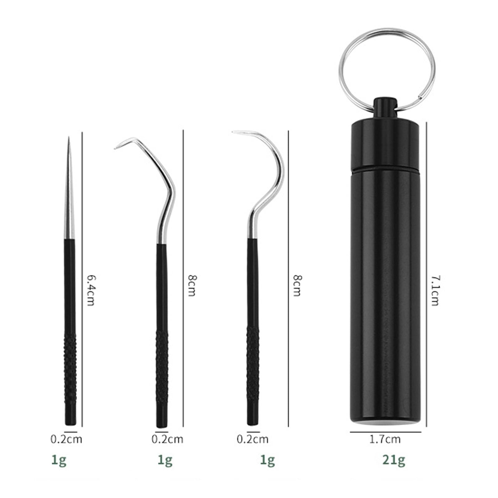 5Pcs Stainless Steel Toothpick Kit Oral Cleaning Kit for Outdoor Picnic Black