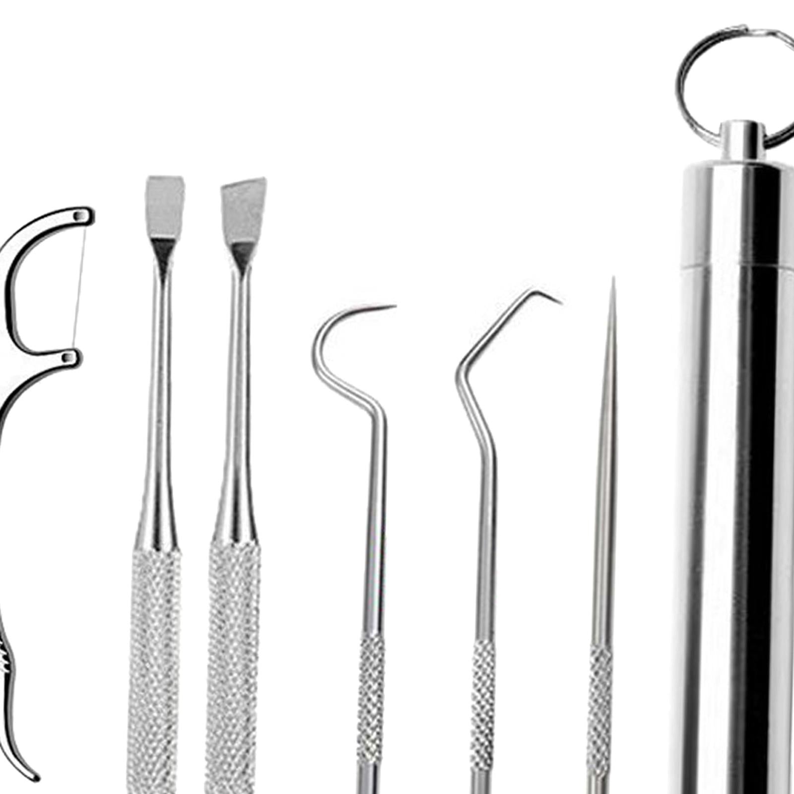 Stainless Steel Toothpick Kit with Waterproof Holder for Daily Use Traveling