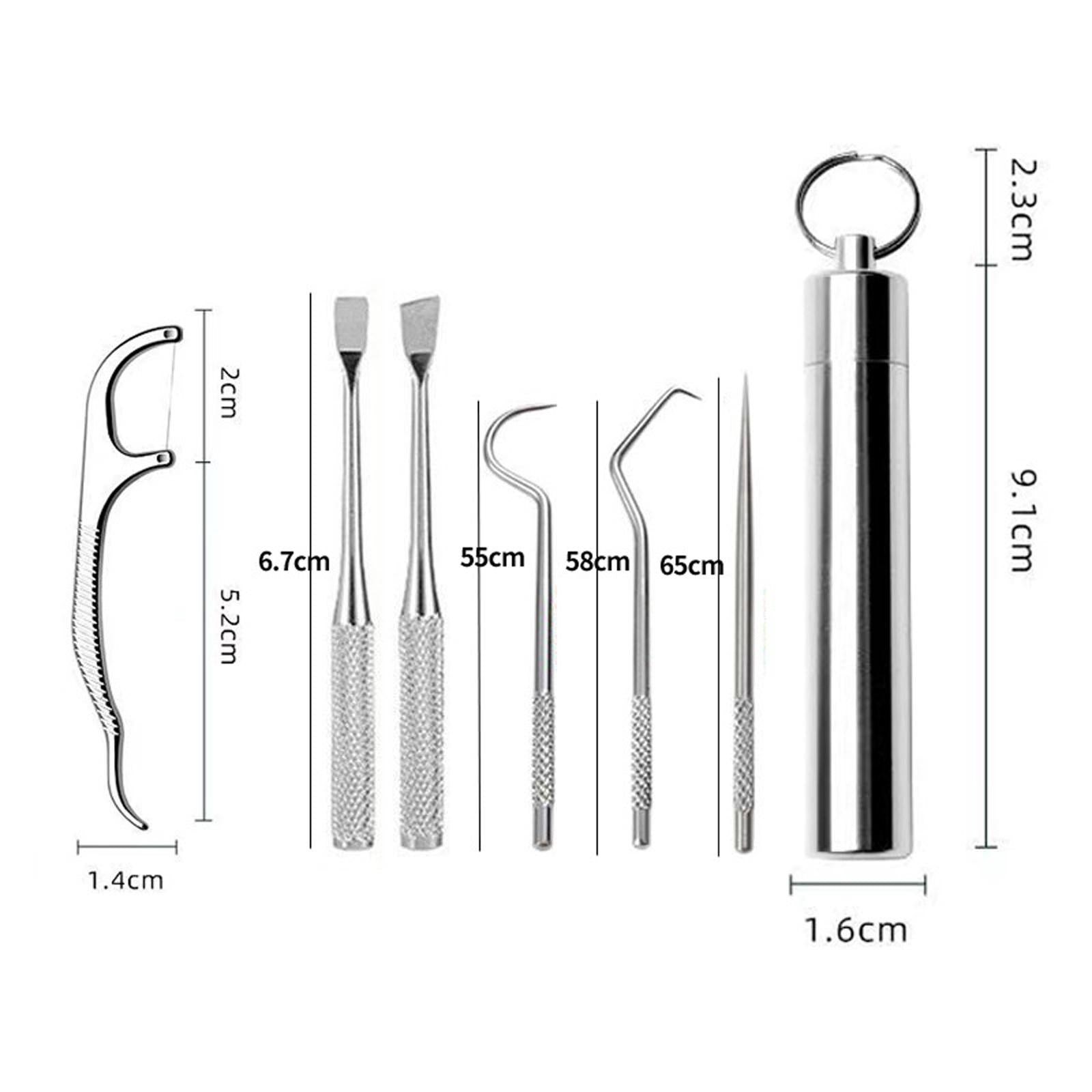 Stainless Steel Toothpick Kit with Waterproof Holder for Daily Use Traveling