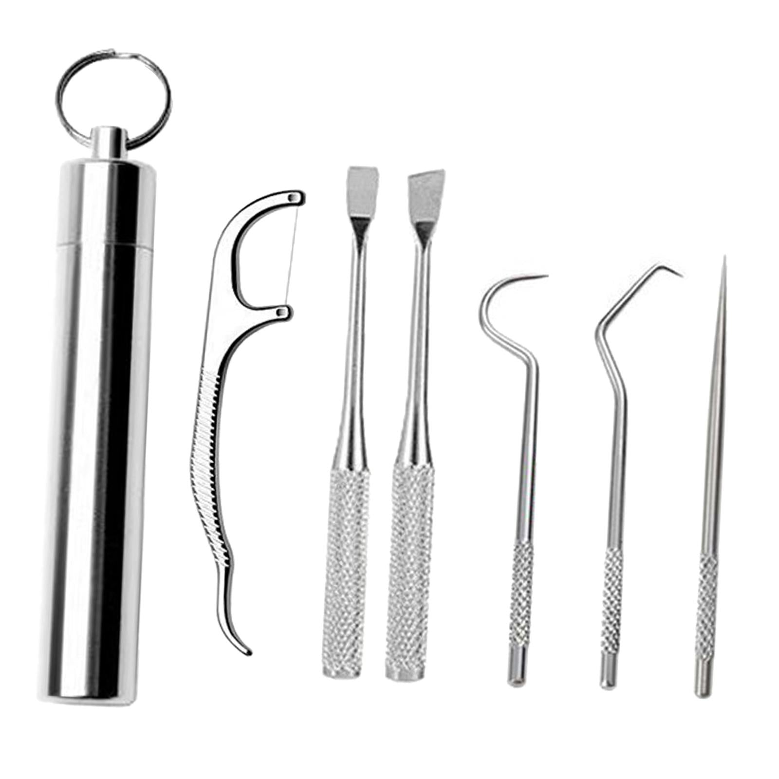 Stainless Steel Toothpick Kit with Waterproof Holder for Daily Use Traveling