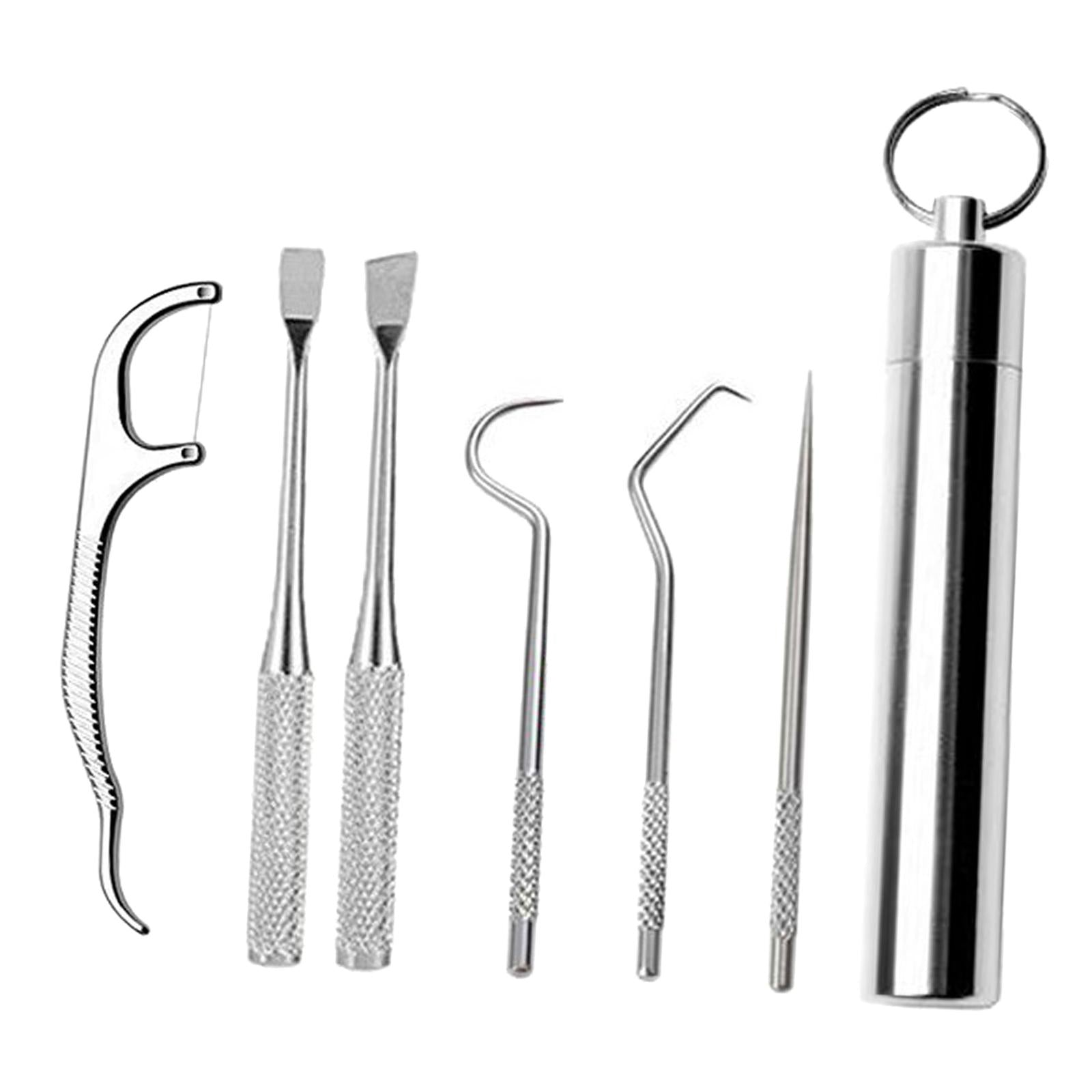 Stainless Steel Toothpick Kit with Waterproof Holder for Daily Use Traveling