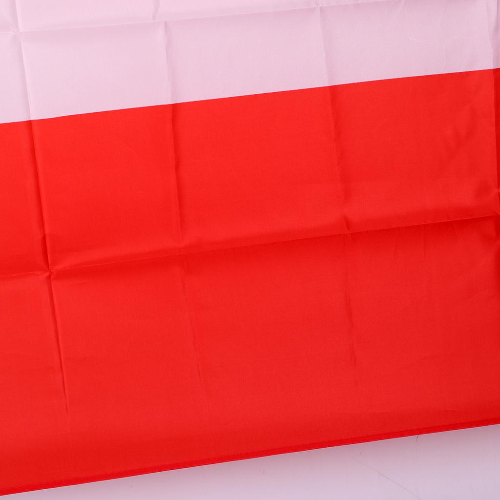 Country Large Flag National Banner Festival Decor Red White Denmark