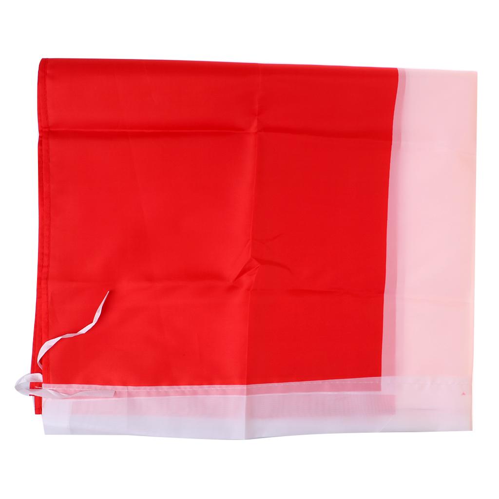 Country Large Flag National Banner Festival Decor Red White Denmark