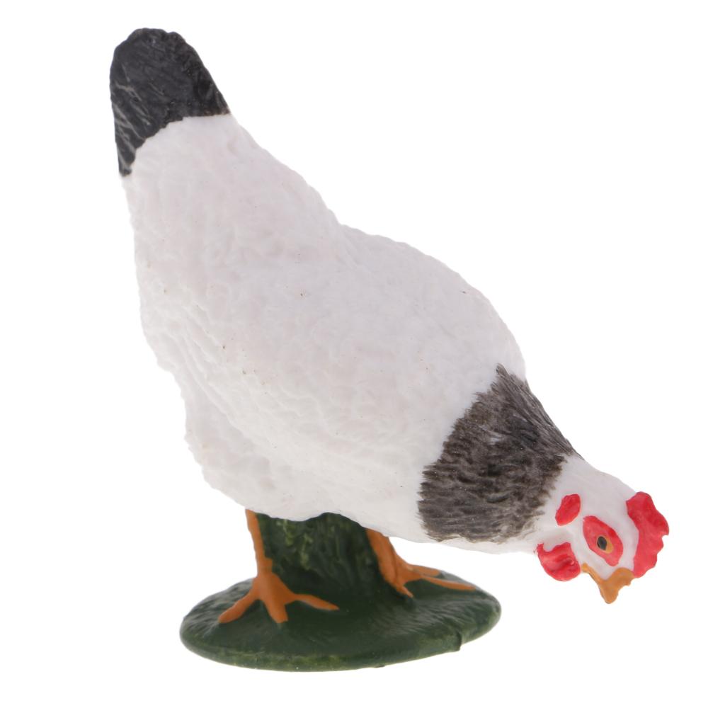 Farm Animal Body Model Lifelike Fowl Hen Chickens Figurine White MY6221-322