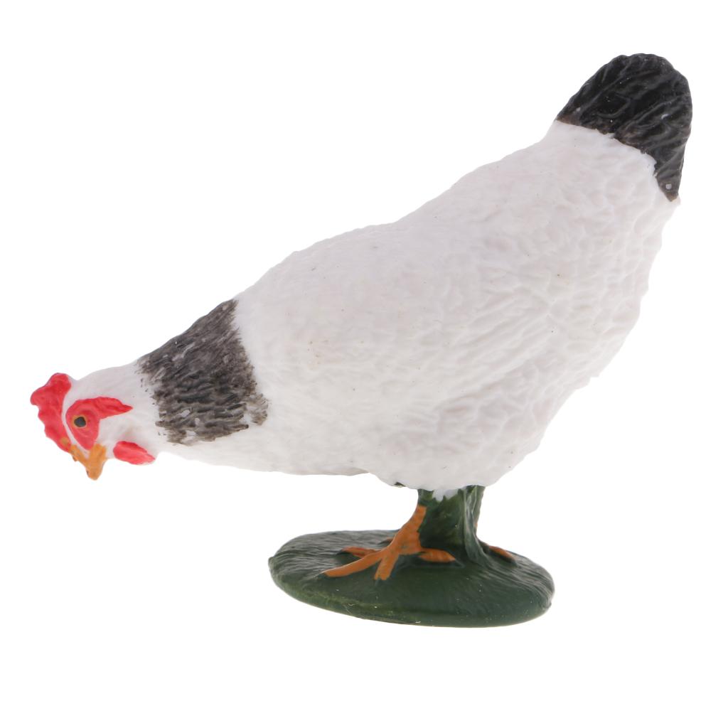 Farm Animal Body Model Lifelike Fowl Hen Chickens Figurine White MY6221-322
