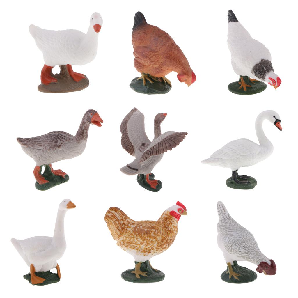 Farm Animal Body Model Lifelike Fowl Hen Chickens Figurine White MY6221-322