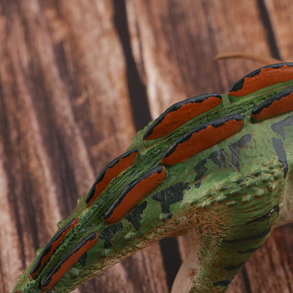 Educational Dinosaur Toys Kids Realistic Toy Dinosaur Figure Wuerhosaurus