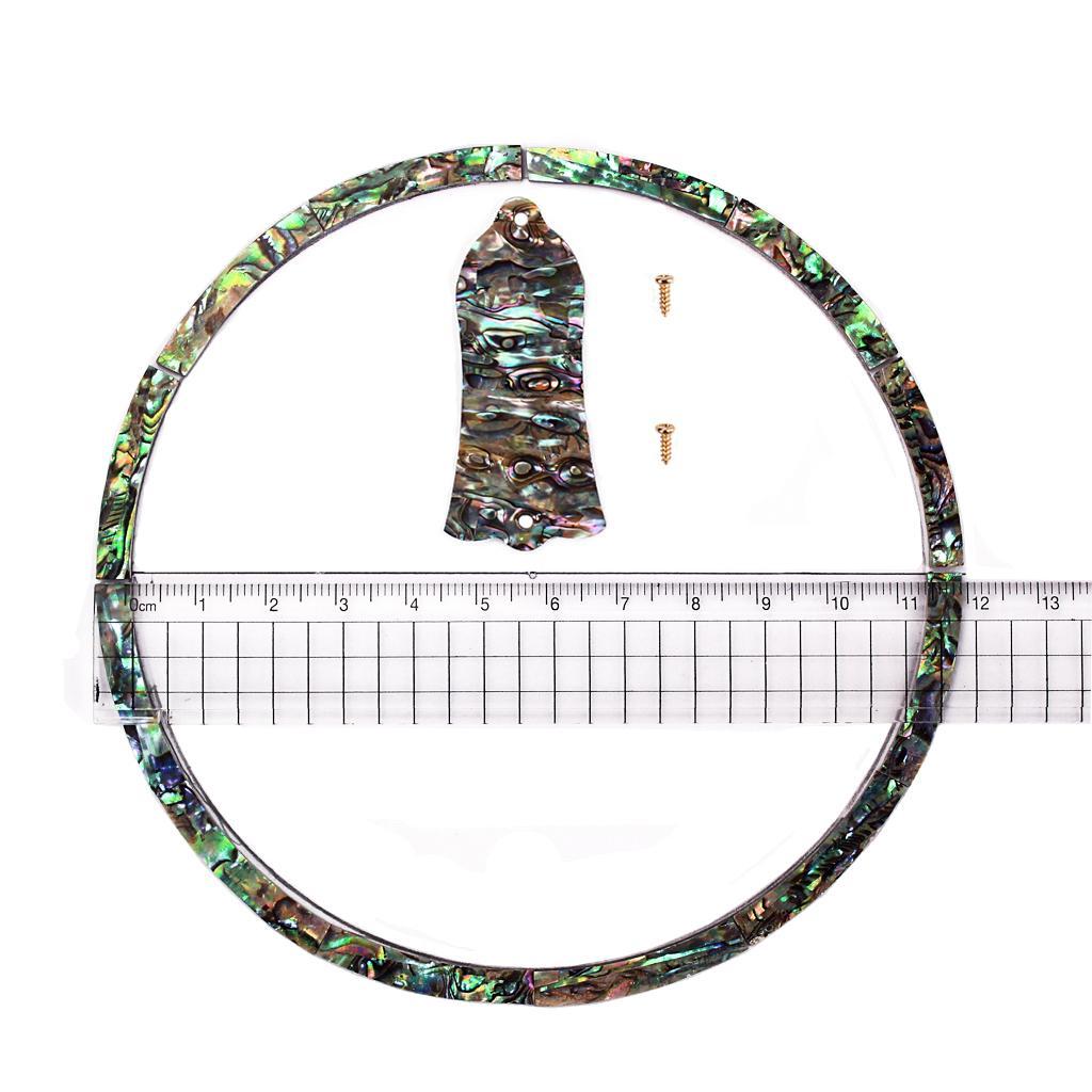 1 Set Shell Acoustic Guitar Truss Rod Cover Soundhole Inlay Strip