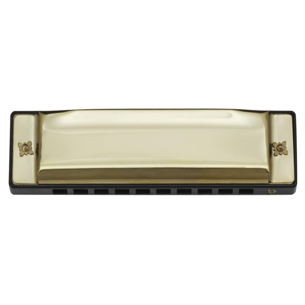 10 Hole 20 Tone G Adjustable ajor Diatonic Harmonica Mouth Organ Instrument