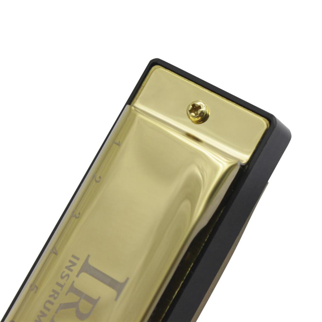 10 Hole 20 Tone G Adjustable ajor Diatonic Harmonica Mouth Organ Instrument