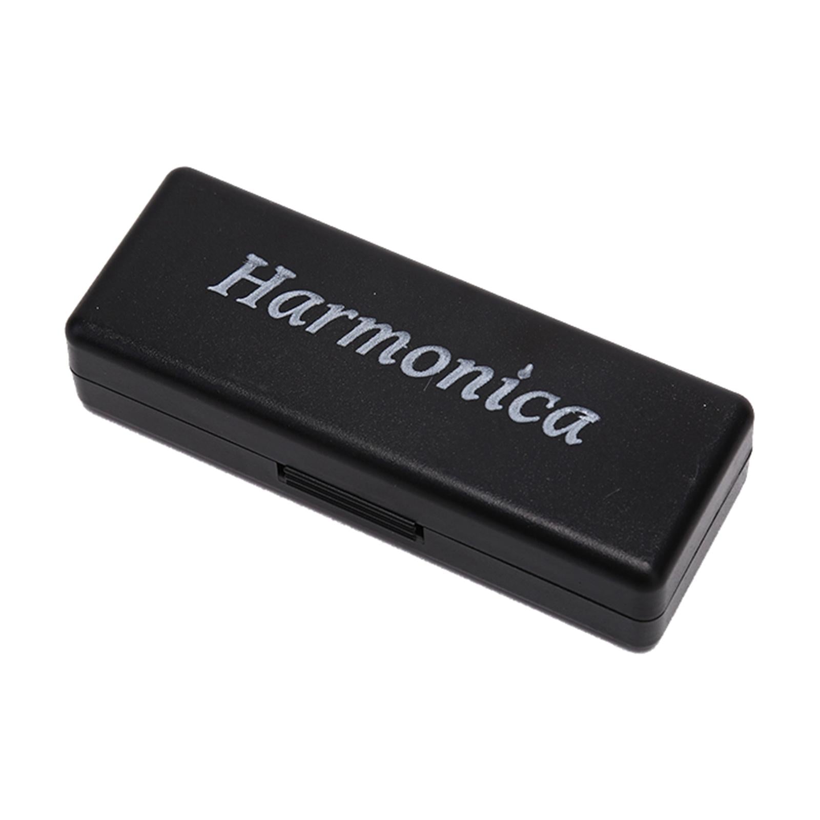 Blues Harmonica Diatonic Harp Mouth Organ 10 Hole Musical Instrument Silver
