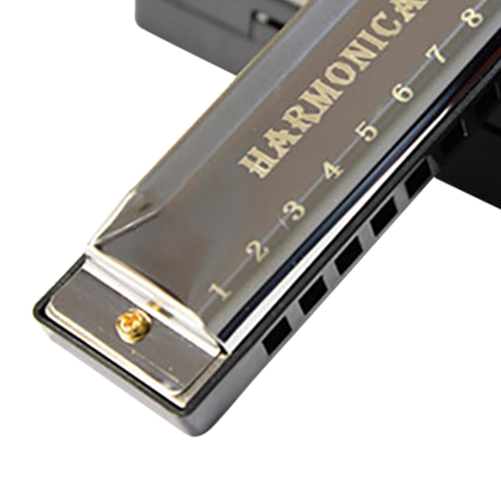 Blues Harmonica Diatonic Harp Mouth Organ 10 Hole Musical Instrument Silver
