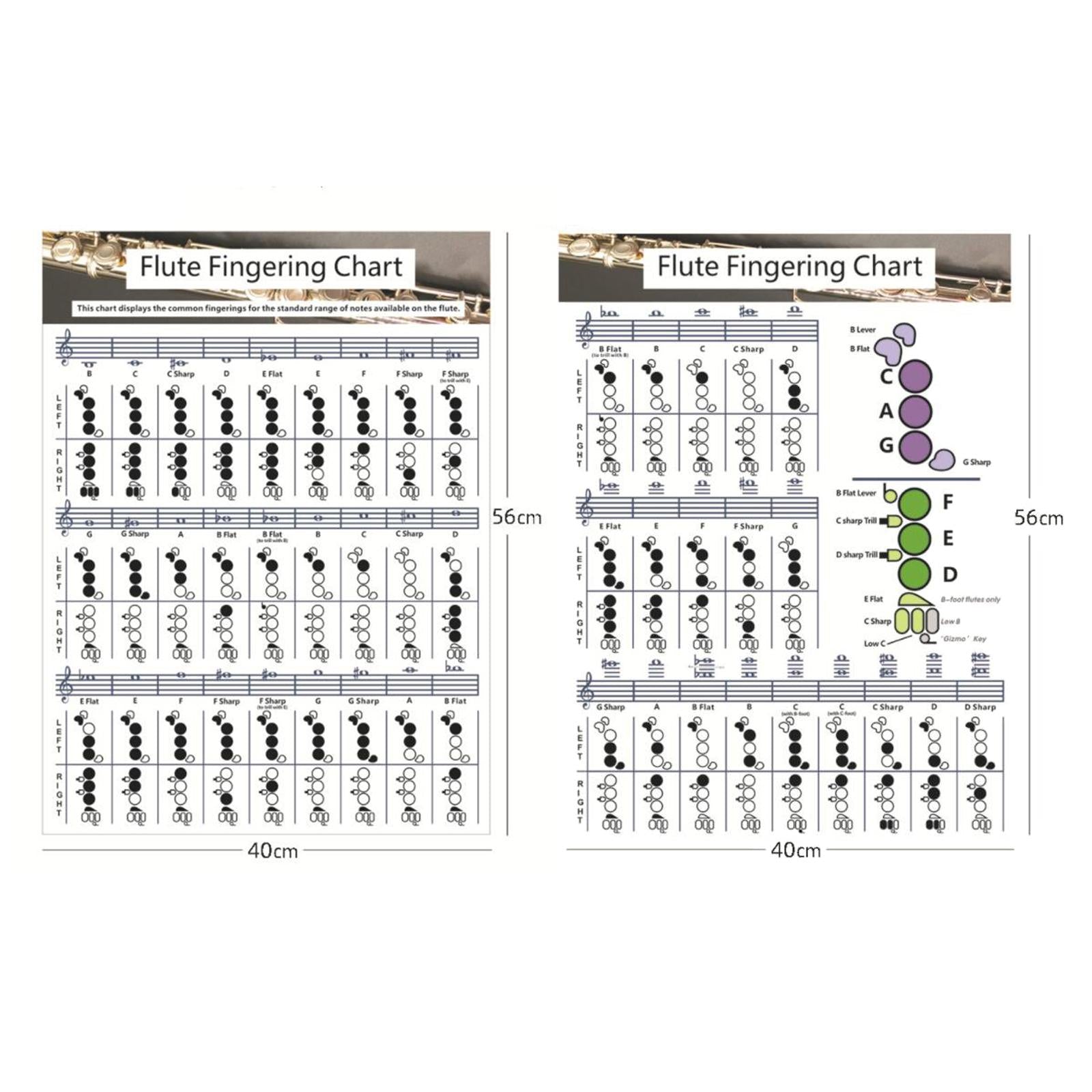 Flute Chord Chart Cheatsheets Educational Accessories for Student Beginners Large
