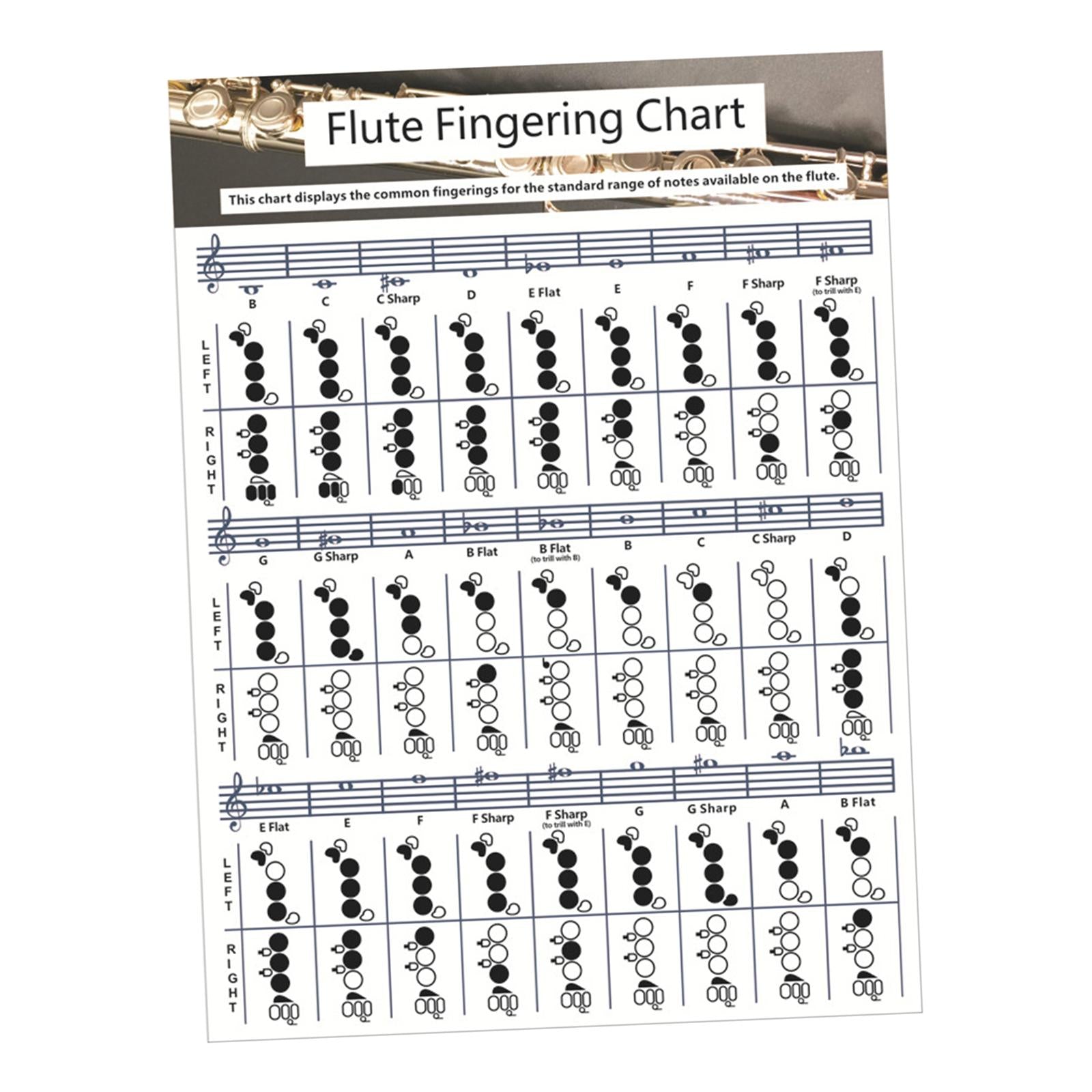 Flute Chord Chart Cheatsheets Educational Accessories for Student Beginners Large