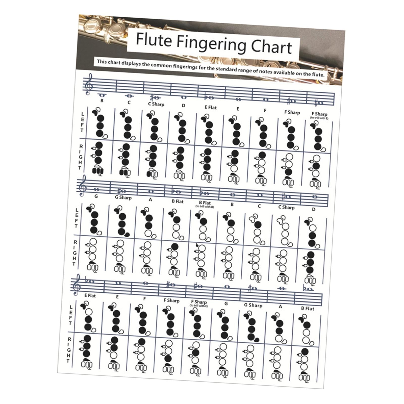 Flute Chord Chart Cheatsheets Educational Accessories for Student Beginners Large