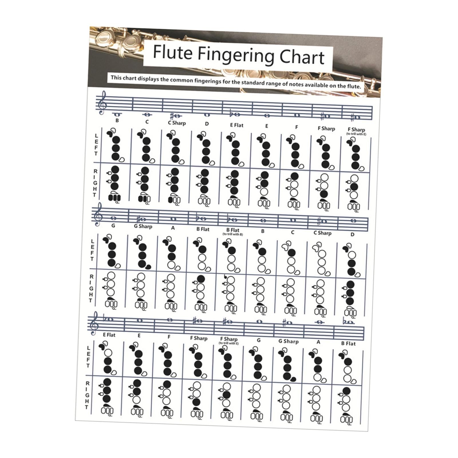 Flute Chord Chart Cheatsheets Educational Accessories for Student Beginners Small